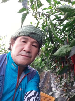 정상훈님의 고추 · 일상 작성글 사진