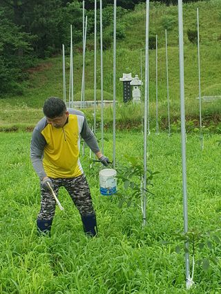 김회철님의 기타작물 · 영농일지 작성글 사진