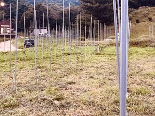 김회철님의 기타작물 · 영농일지 작성글 사진