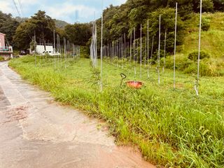 김회철님의 기타작물 · 영농일지 작성글 사진