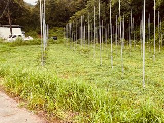 김회철님의 기타작물 · 영농일지 작성글 사진