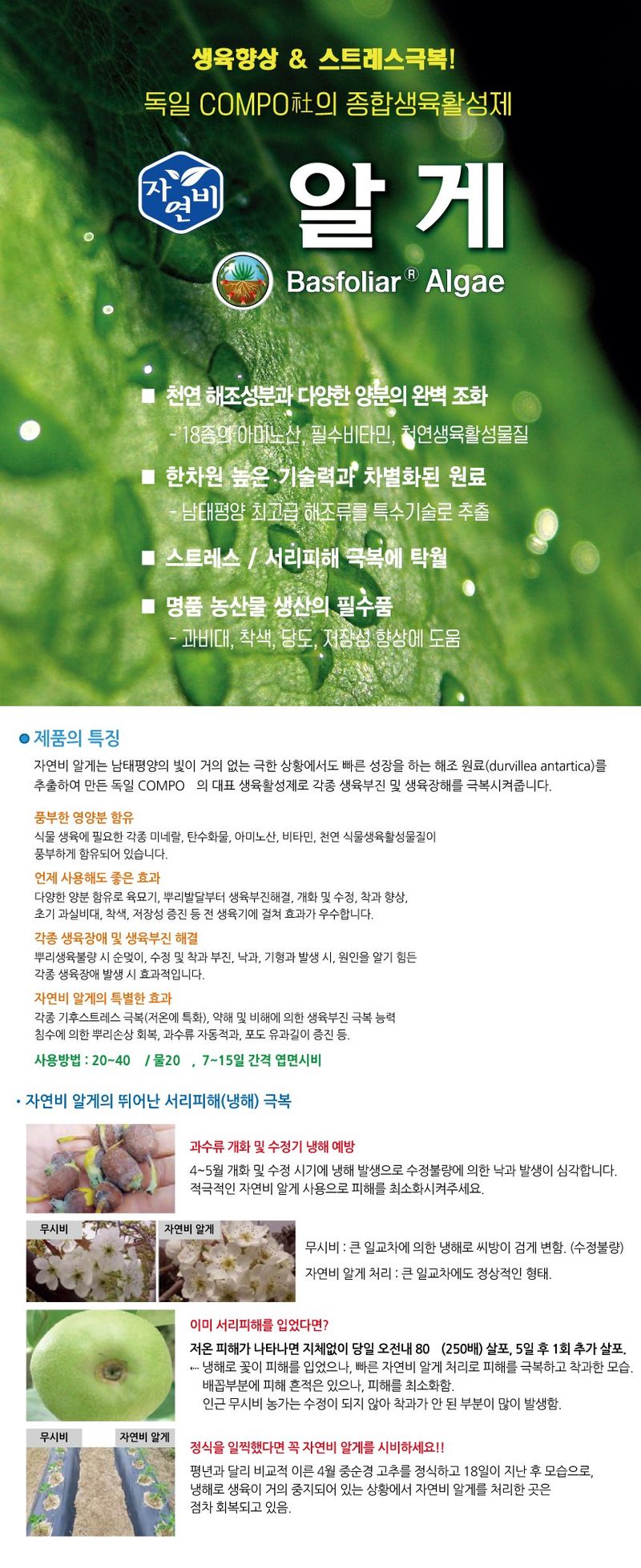 씨앗마켓님의 장터 판매 상품 [알게  200ml 500ml 생육활성제 냉해 예방 영양제 코리아아그로] 첨부 사진
