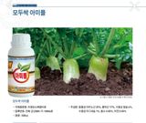 팜모닝 · 게시글 이미지