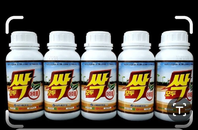 대산농사대장님의 장터 판매 상품 [🌱모두싹아미플 500ml] 첨부 사진