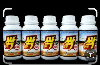 대산농사대장님의 작성글 사진