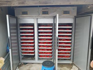 양백운님의 고추 · 영농일지 작성글 사진