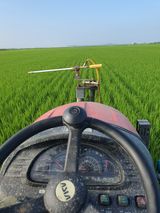 팜모닝 벼·자유게시판 게시글 이미지