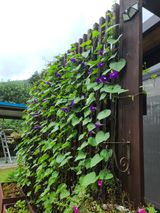 팜모닝 자유주제·자유게시판 게시글 이미지