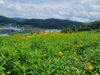홍천산채농원 조원영님의 자유주제 · 자유게시판 작성글 사진