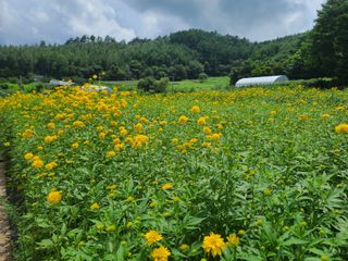 홍천산채농원 조원영님의 자유주제 · 자유게시판 작성글 사진