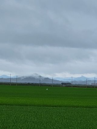 알 수 없음님의 자유주제 · 자유게시판 작성글 사진