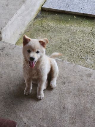 알 수 없음님의 자유주제 · 자유게시판 작성글 사진