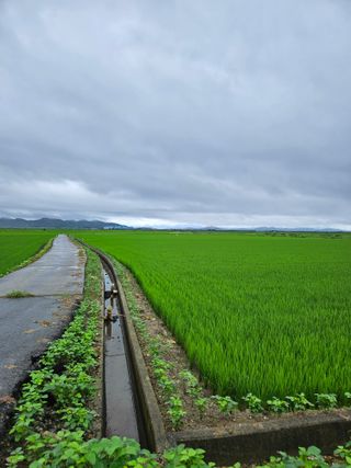 알 수 없음님의 자유주제 · 자유게시판 작성글 사진