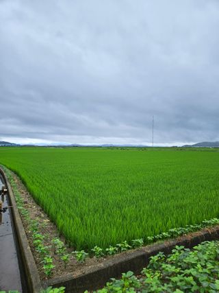 알 수 없음님의 자유주제 · 자유게시판 작성글 사진