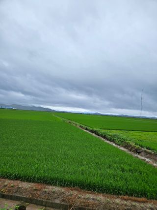 알 수 없음님의 자유주제 · 자유게시판 작성글 사진