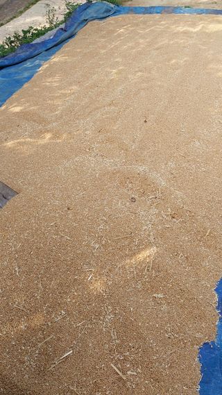 손경식님의 작성글 사진