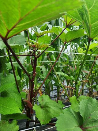 이판석님의 자유주제 · 자유게시판 작성글 사진