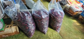 벽창호(죽동농부)님의 고추 · 저장•가공 작성글 사진