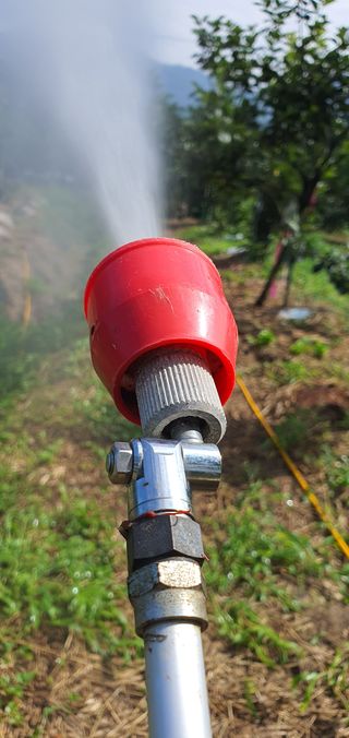 선진수님의 감 · 영농일지 작성글 사진