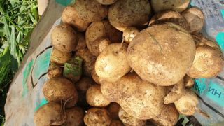 호랑이와인성이님의 작성글 사진