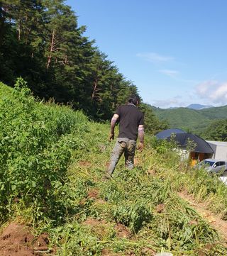 호랑이와인성이님의 작성글 사진