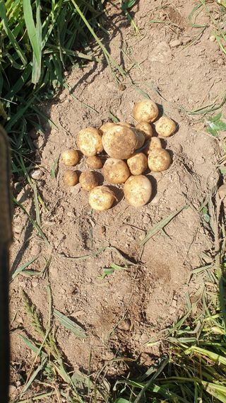 호랑이와인성이님의 작성글 사진