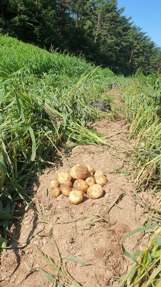 호랑이와인성이님의 작성글 사진