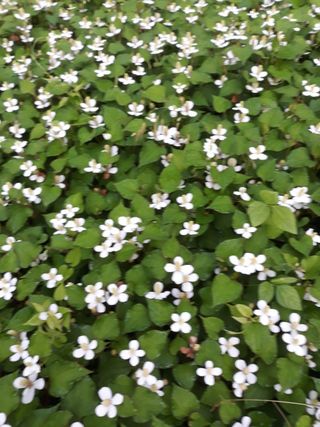 정상훈님의 기타작물 · 자유게시판 작성글 사진