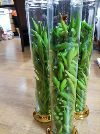 정상훈님의 기타작물 · 자유게시판 작성글 사진