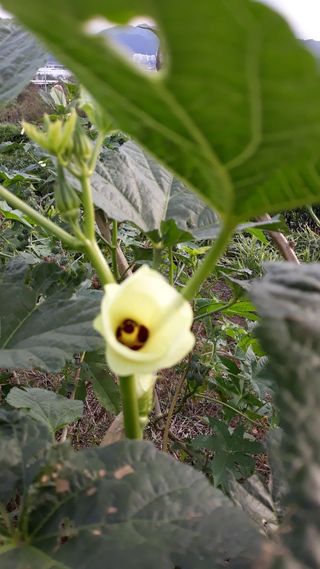 정상훈님의 기타작물 · 자유게시판 작성글 사진