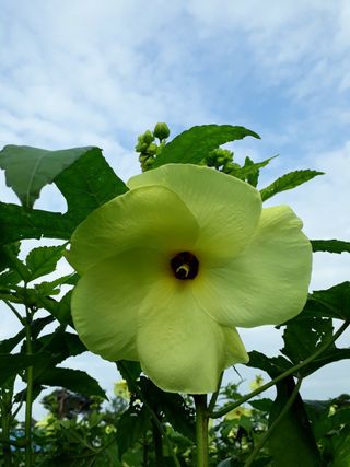 정상훈님의 기타작물 · 자유게시판 작성글 사진