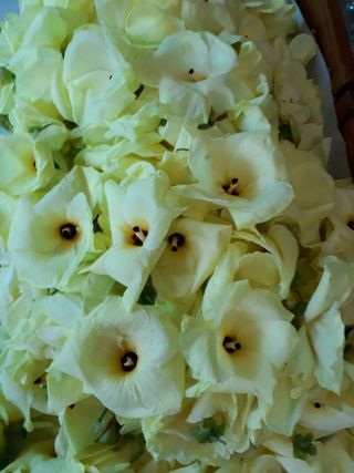 정상훈님의 기타작물 · 자유게시판 작성글 사진