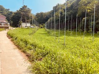 김회철님의 자유주제 · 자유게시판 작성글 사진