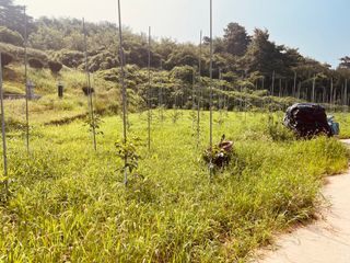 김회철님의 자유주제 · 자유게시판 작성글 사진