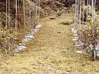 김회철님의 자유주제 · 자유게시판 작성글 사진