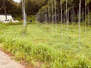 김회철님의 자유주제 · 자유게시판 작성글 사진