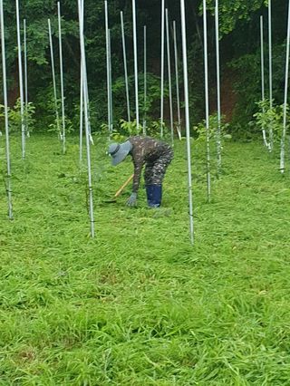 김회철님의 자유주제 · 자유게시판 작성글 사진