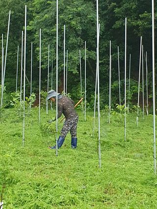 김회철님의 자유주제 · 자유게시판 작성글 사진