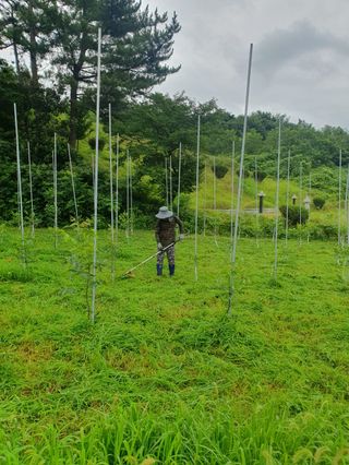 김회철님의 자유주제 · 자유게시판 작성글 사진
