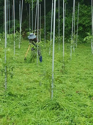 김회철님의 자유주제 · 자유게시판 작성글 사진
