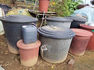 김종옥님의 고추 · 일상 작성글 사진