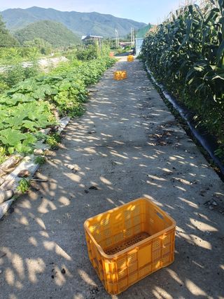 알 수 없음님의 우리동네 · 동네수다 작성글 사진