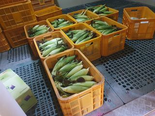 알 수 없음님의 우리동네 · 동네수다 작성글 사진