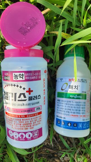 제부도그린농원님의 사과 · 품질 향상 작성글 사진