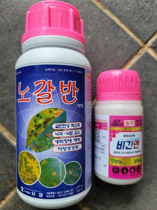 정상훈님의 사과 · 품질 향상 작성글 사진