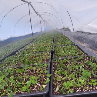 정광일님의 기타작물 · 자유게시판 작성글 사진