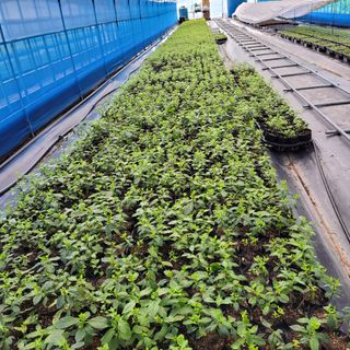 정광일님의 기타작물 · 자유게시판 작성글 사진