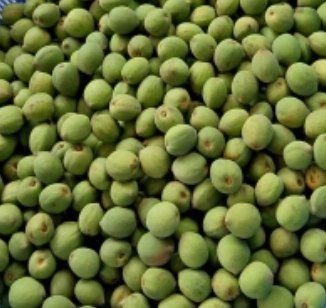 장터 상품 [개복숭아10kg] 썸네일