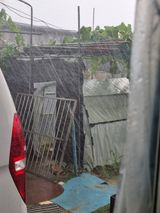 팜모닝 들깨·자유게시판 게시글 이미지