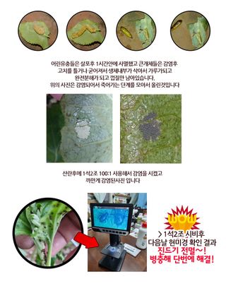 단지바이오님의 작성글 사진